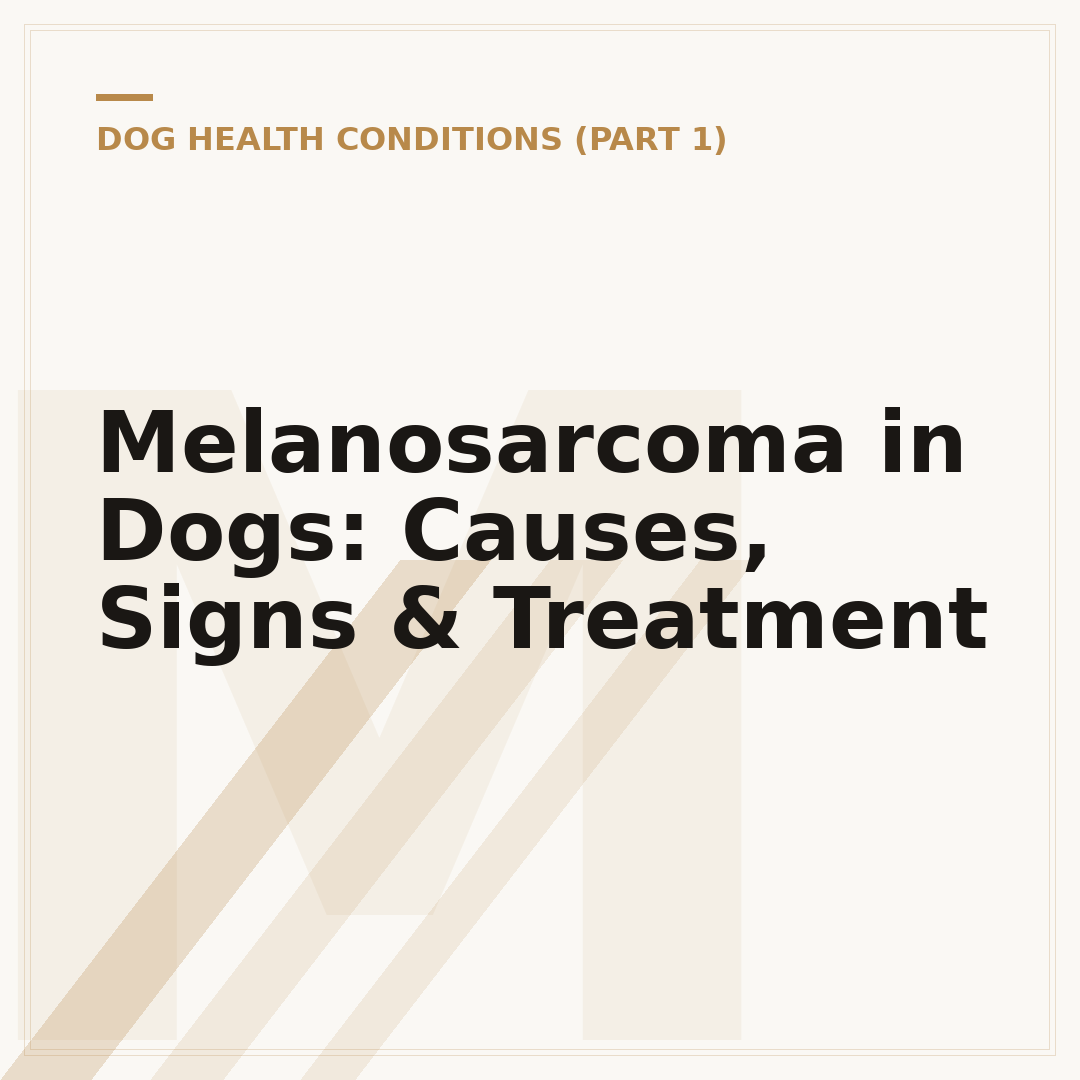 Melanosarcoma in Dogs: Causes, Signs & Treatment