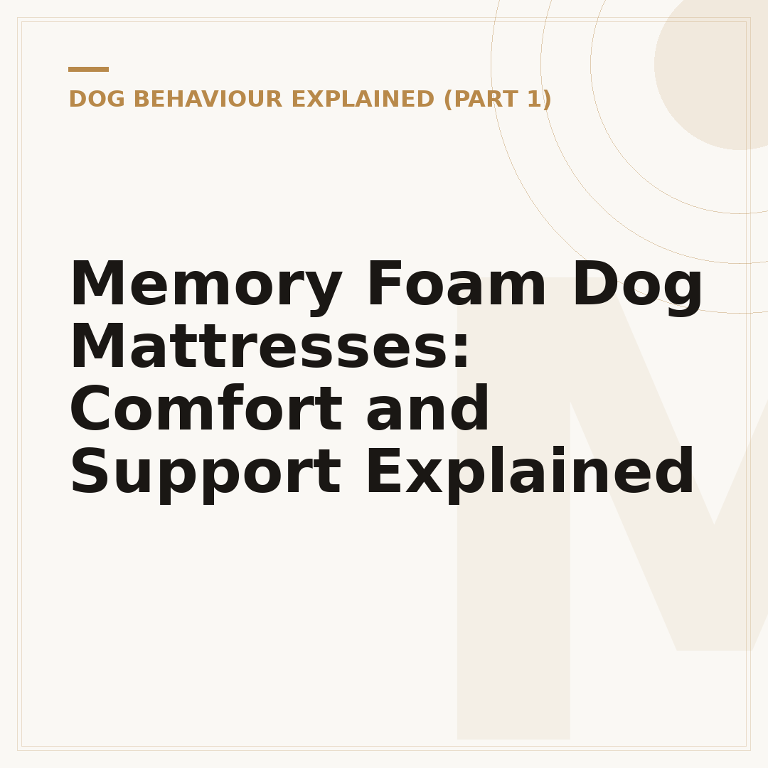 Memory Foam Dog Mattresses: Comfort and Support Explained