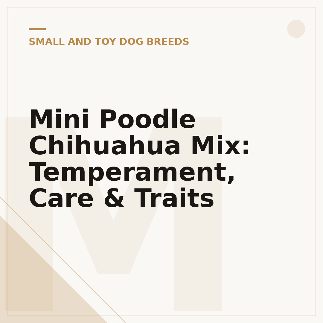 Mini Poodle Chihuahua Mix: Temperament, Care & Traits