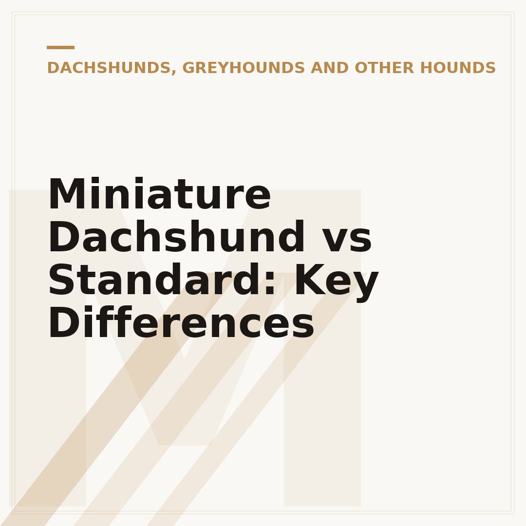 Miniature Dachshund vs Standard: Key Differences