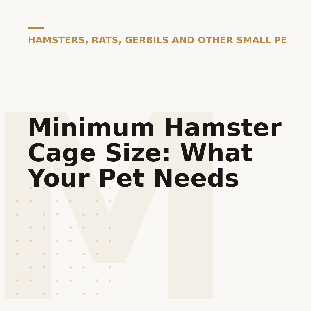 Minimum Hamster Cage Size: What Your Pet Needs