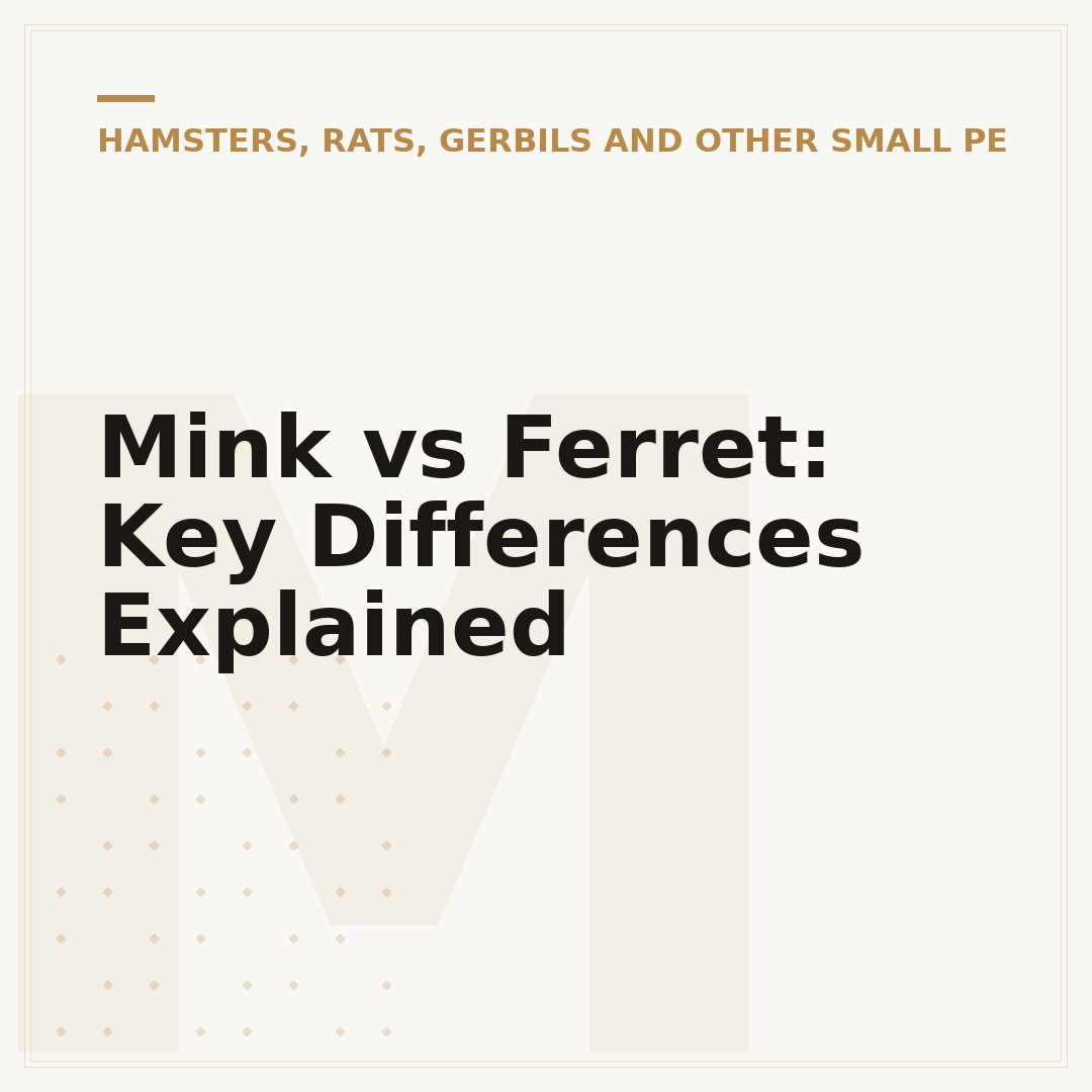 Mink vs Ferret: Key Differences Explained