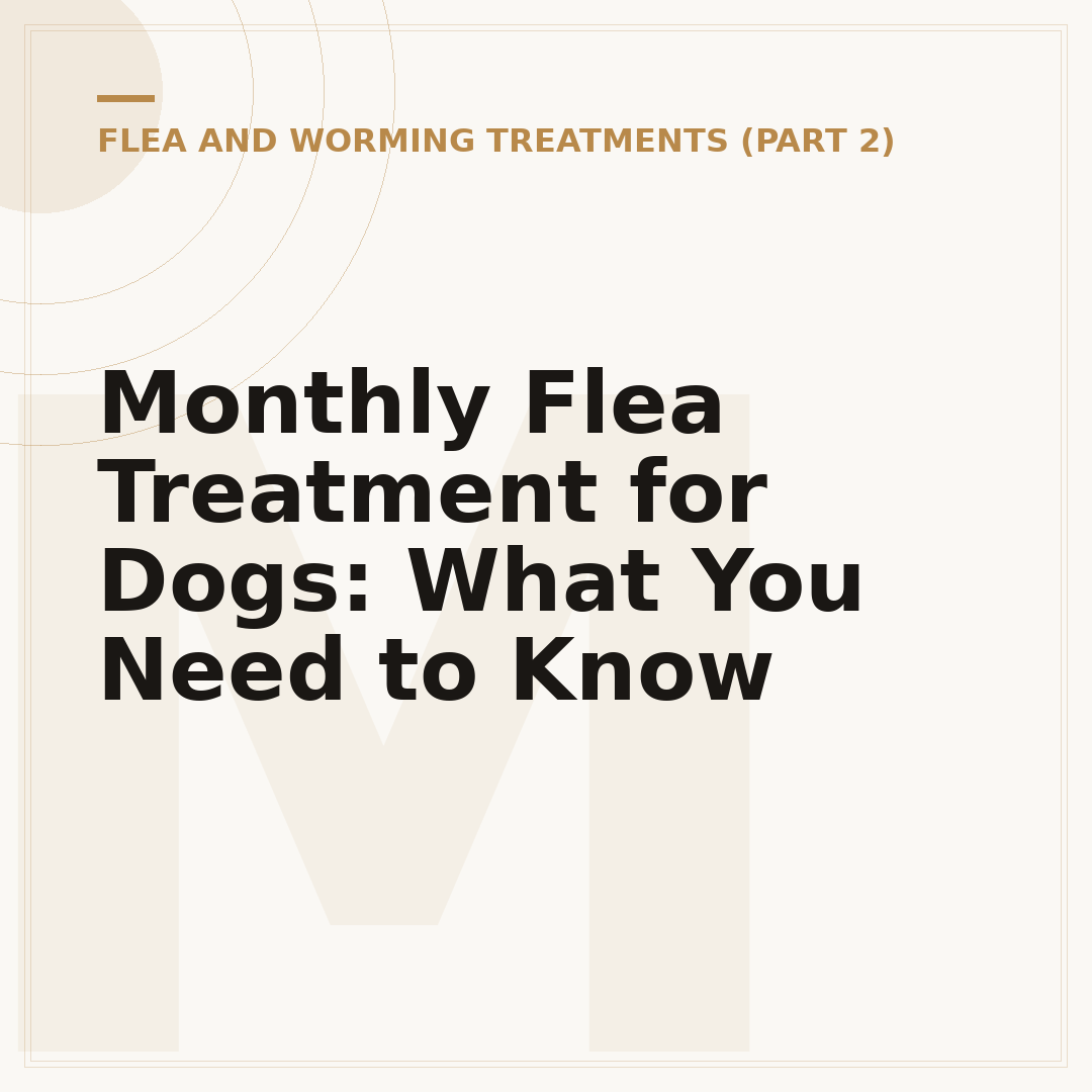 Monthly Flea Treatment for Dogs: What You Need to Know