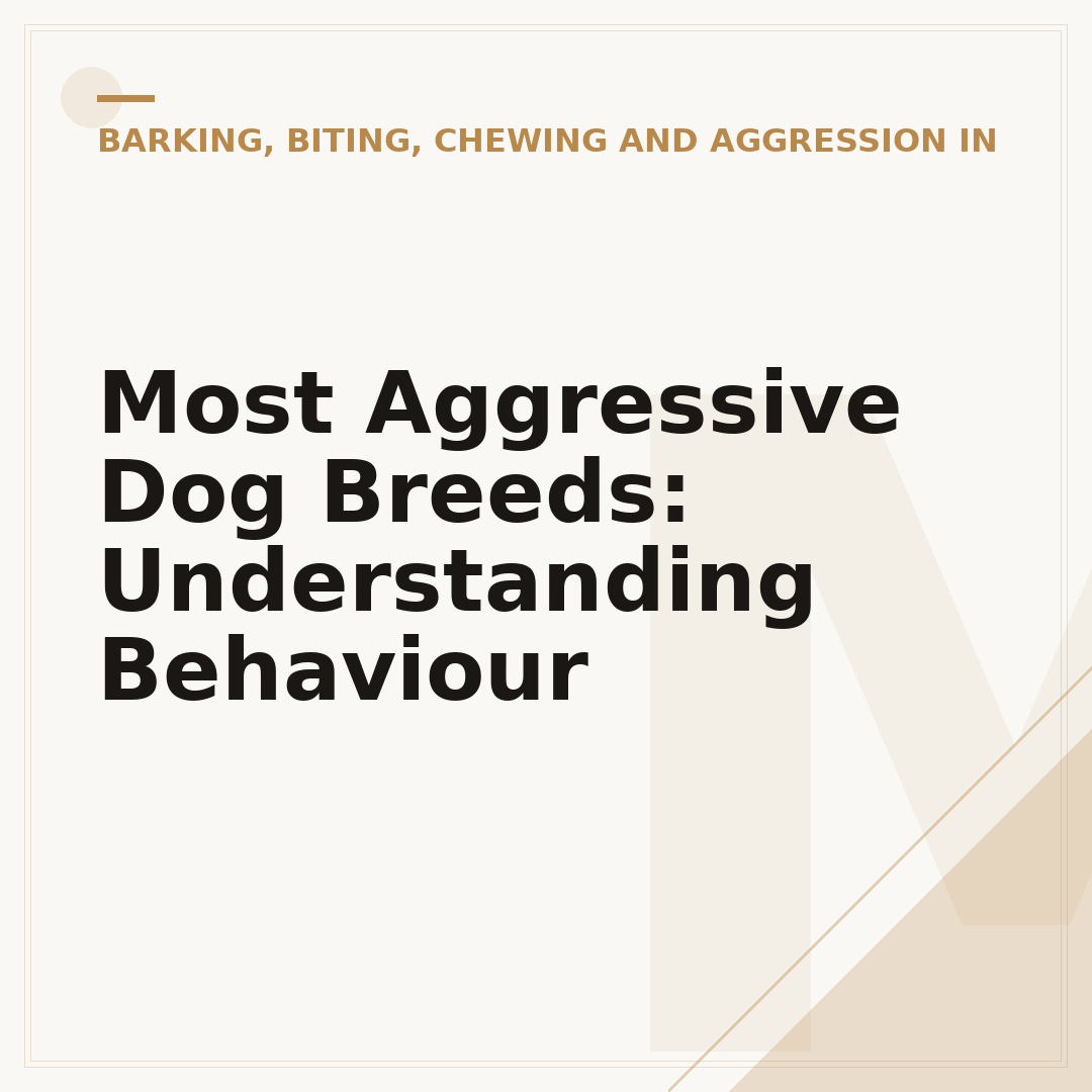 Most Aggressive Dog Breeds: Understanding Behaviour