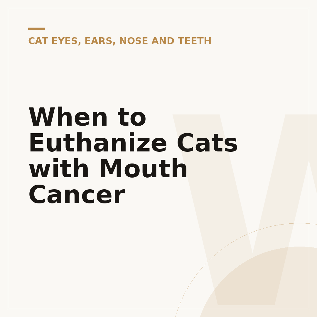 When to Euthanize Cats with Mouth Cancer