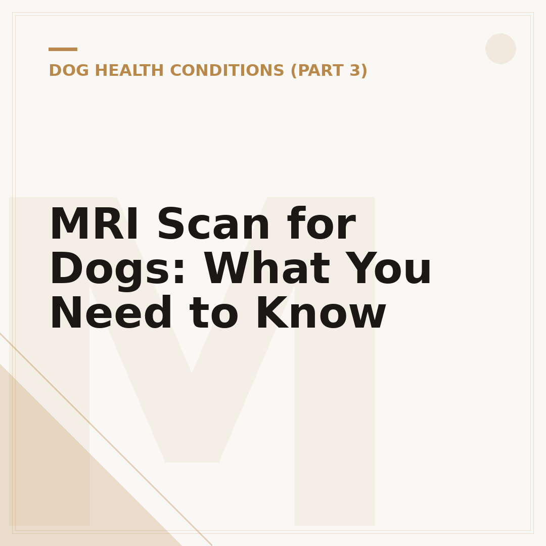 MRI Scan for Dogs: What You Need to Know