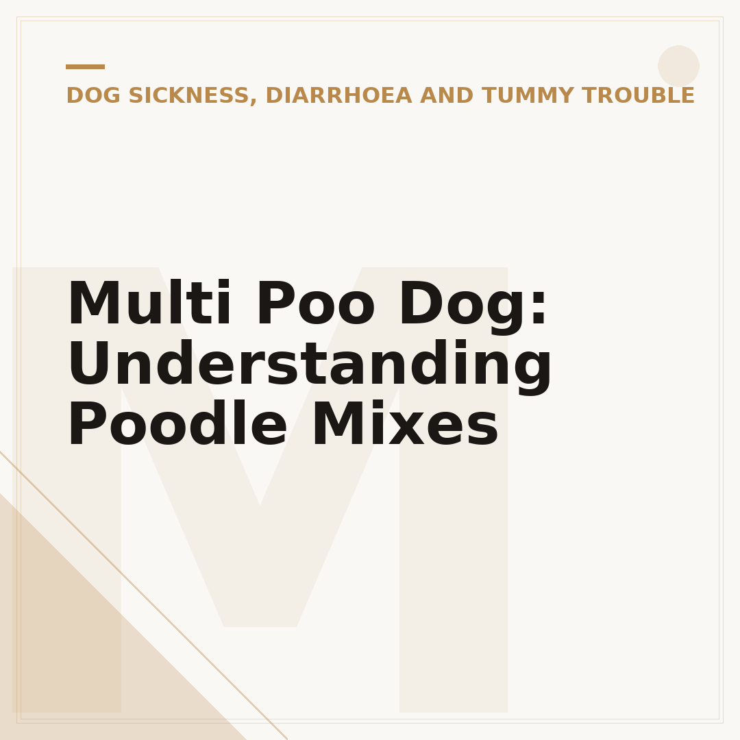 Multi Poo Dog: Understanding Poodle Mixes