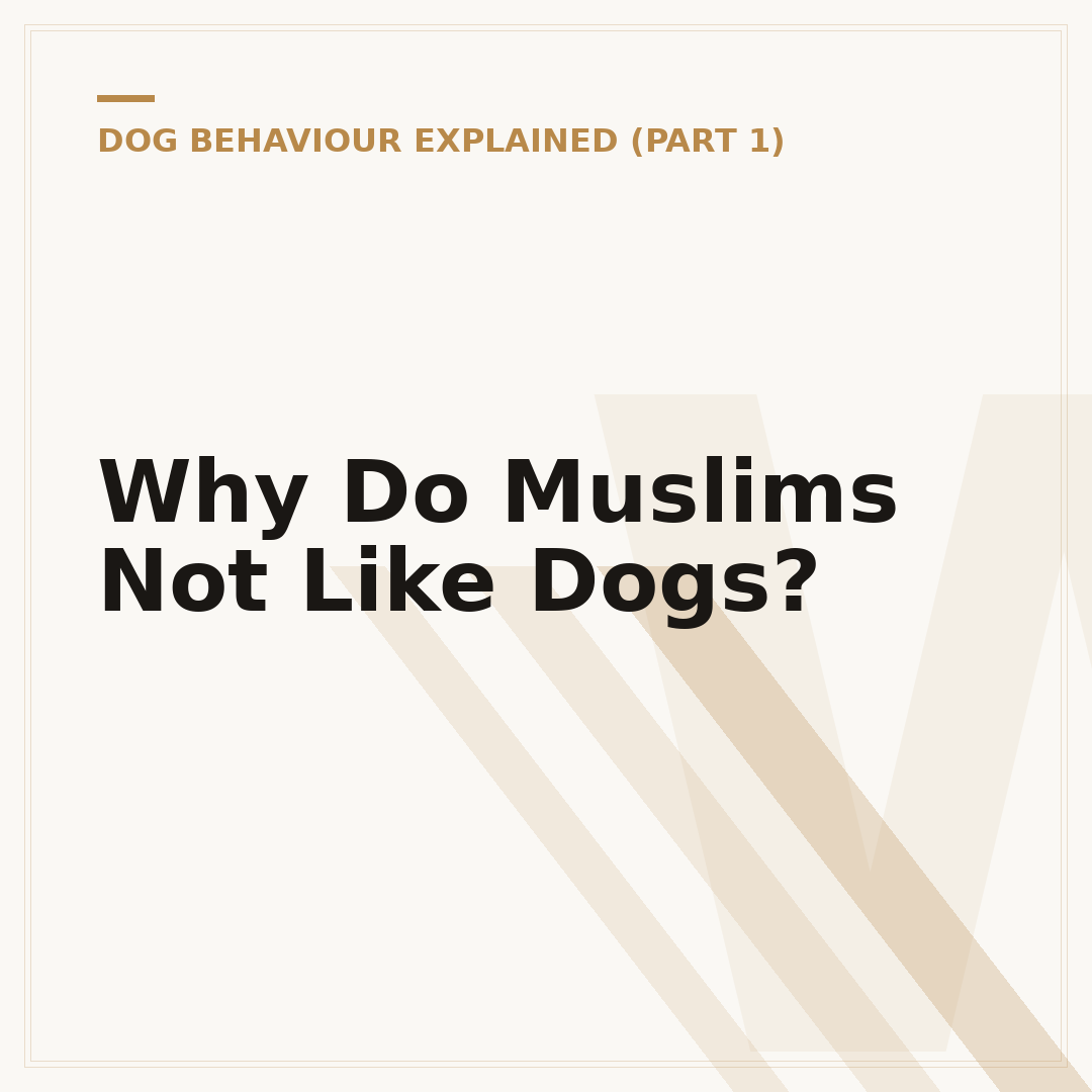 Why Do Muslims Not Like Dogs?