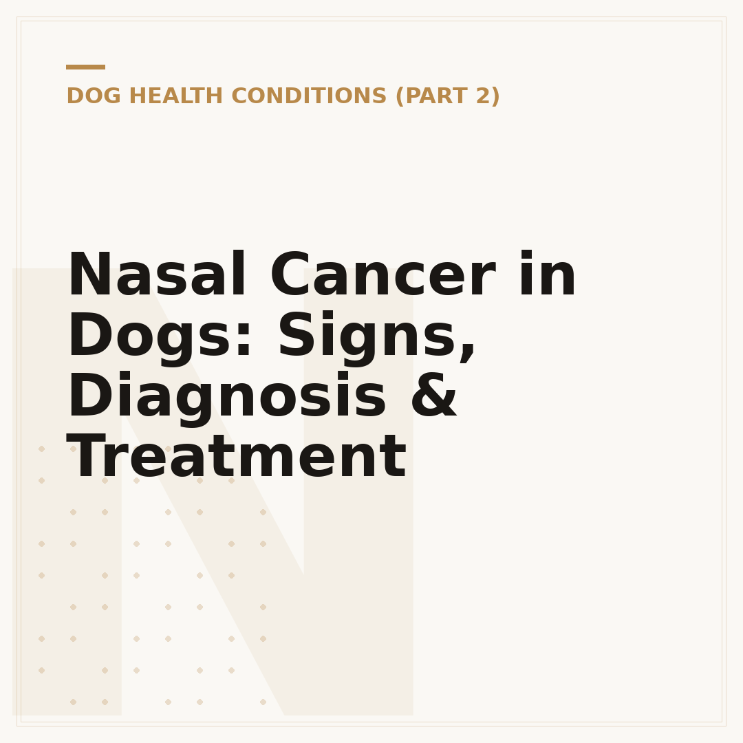 Nasal Cancer in Dogs: Signs, Diagnosis & Treatment