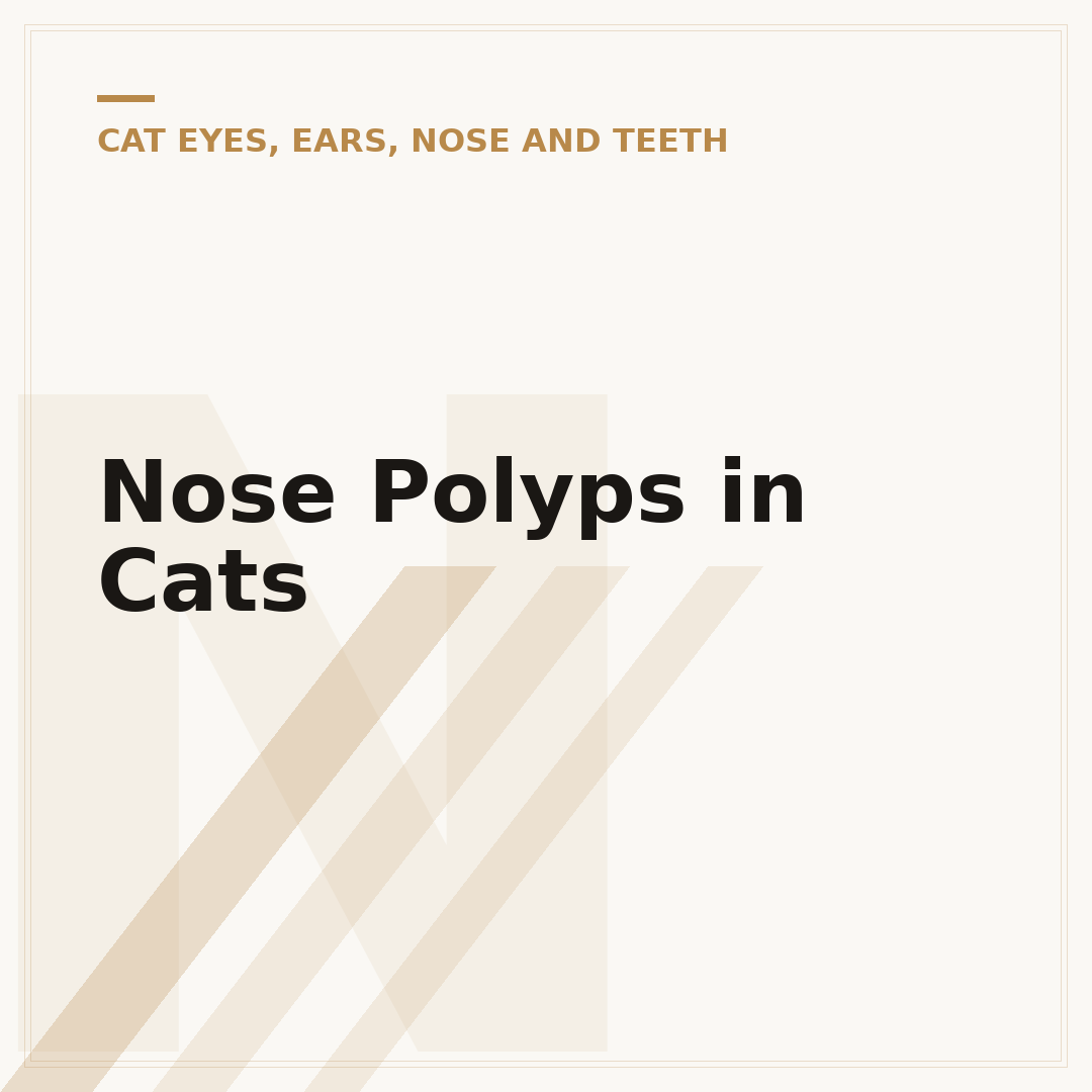 Nose Polyps in Cats