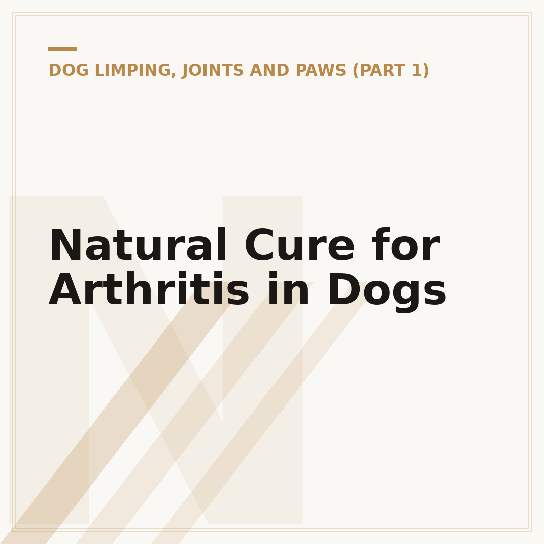 Natural Cure for Arthritis in Dogs