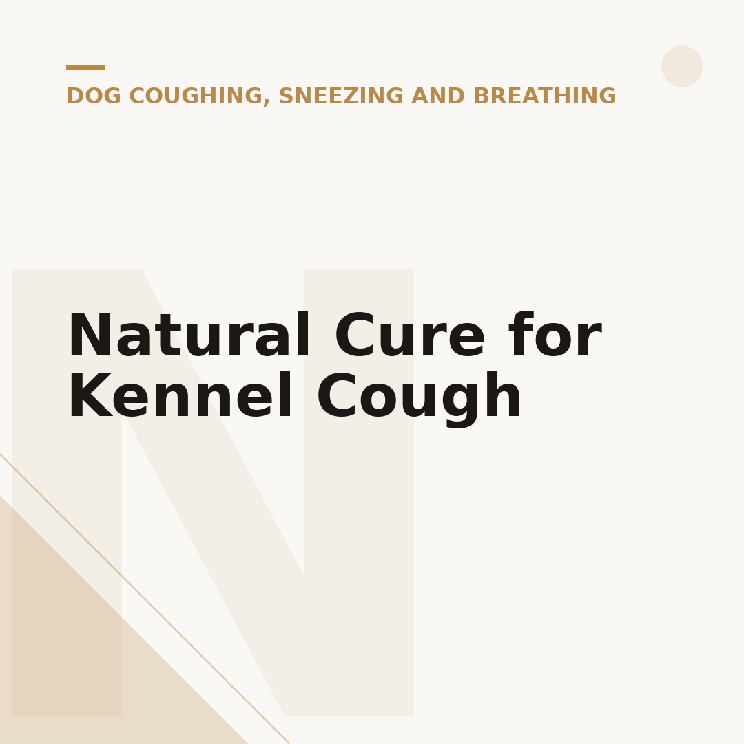 Natural Cure for Kennel Cough