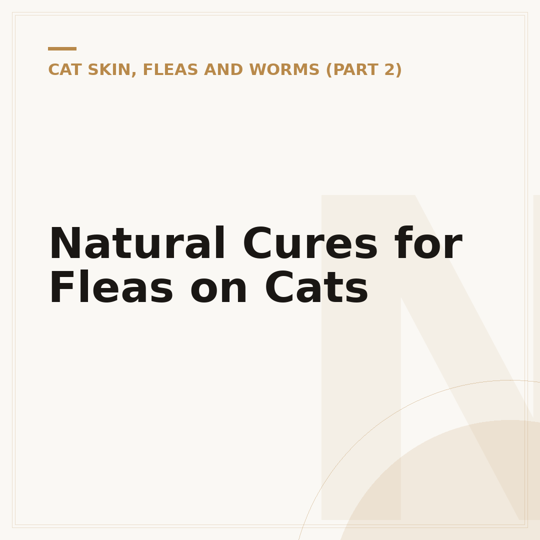 Natural Cures for Fleas on Cats