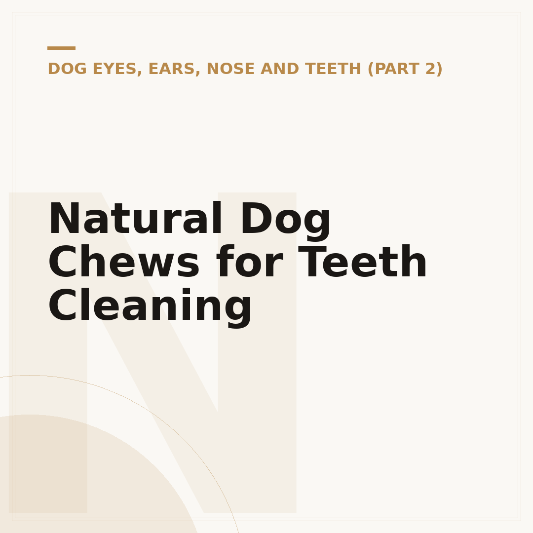 Natural Dog Chews for Teeth Cleaning
