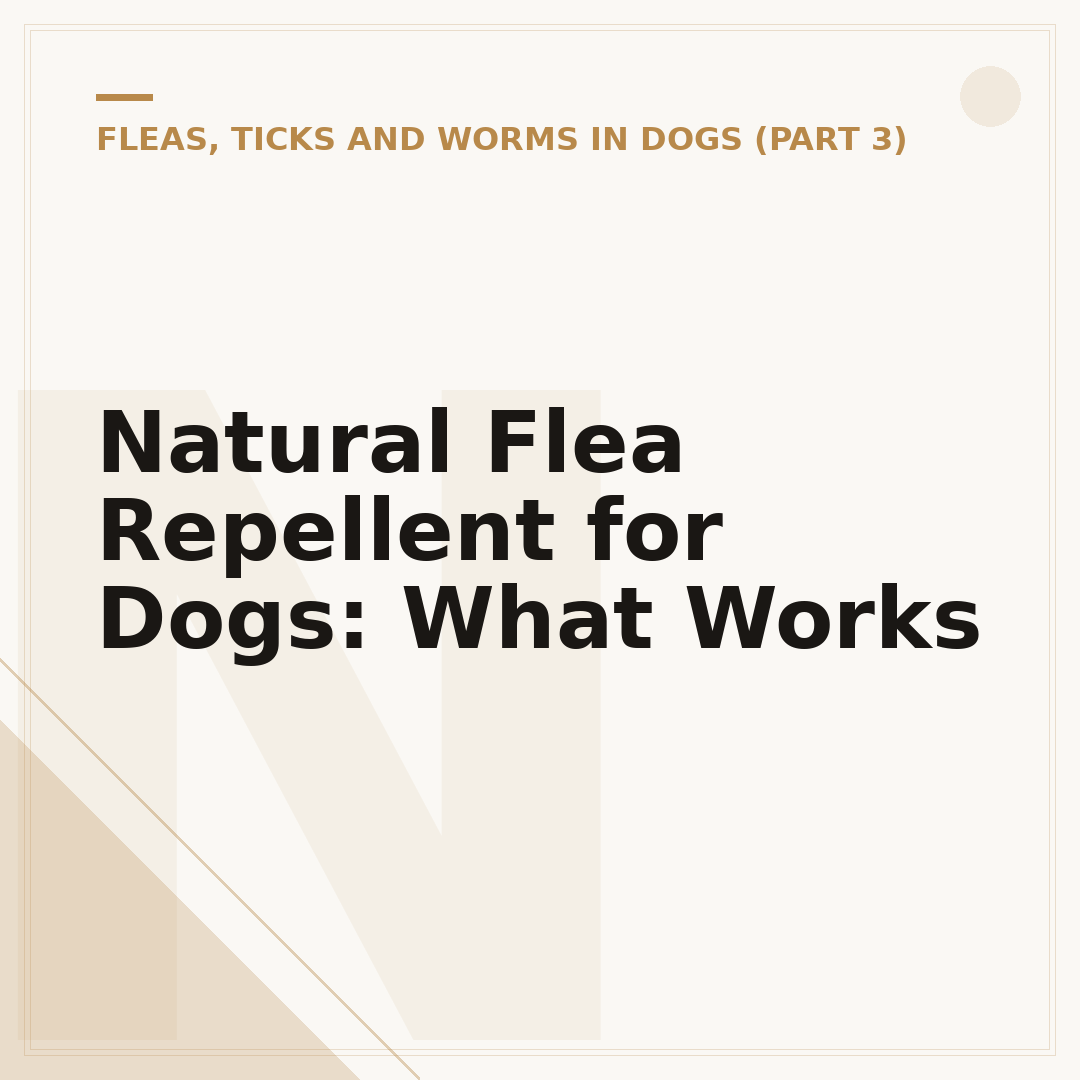 Natural Flea Repellent for Dogs: What Works