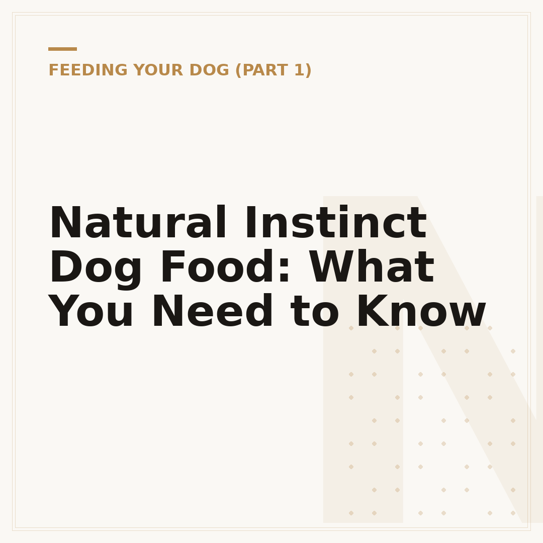 Natural Instinct Dog Food: What You Need to Know