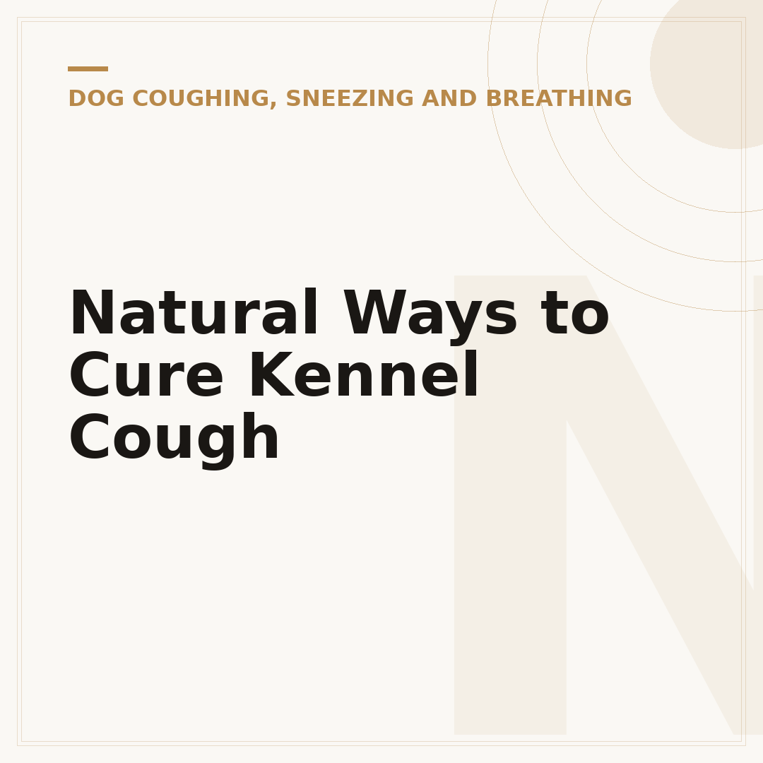 Natural Ways to Cure Kennel Cough
