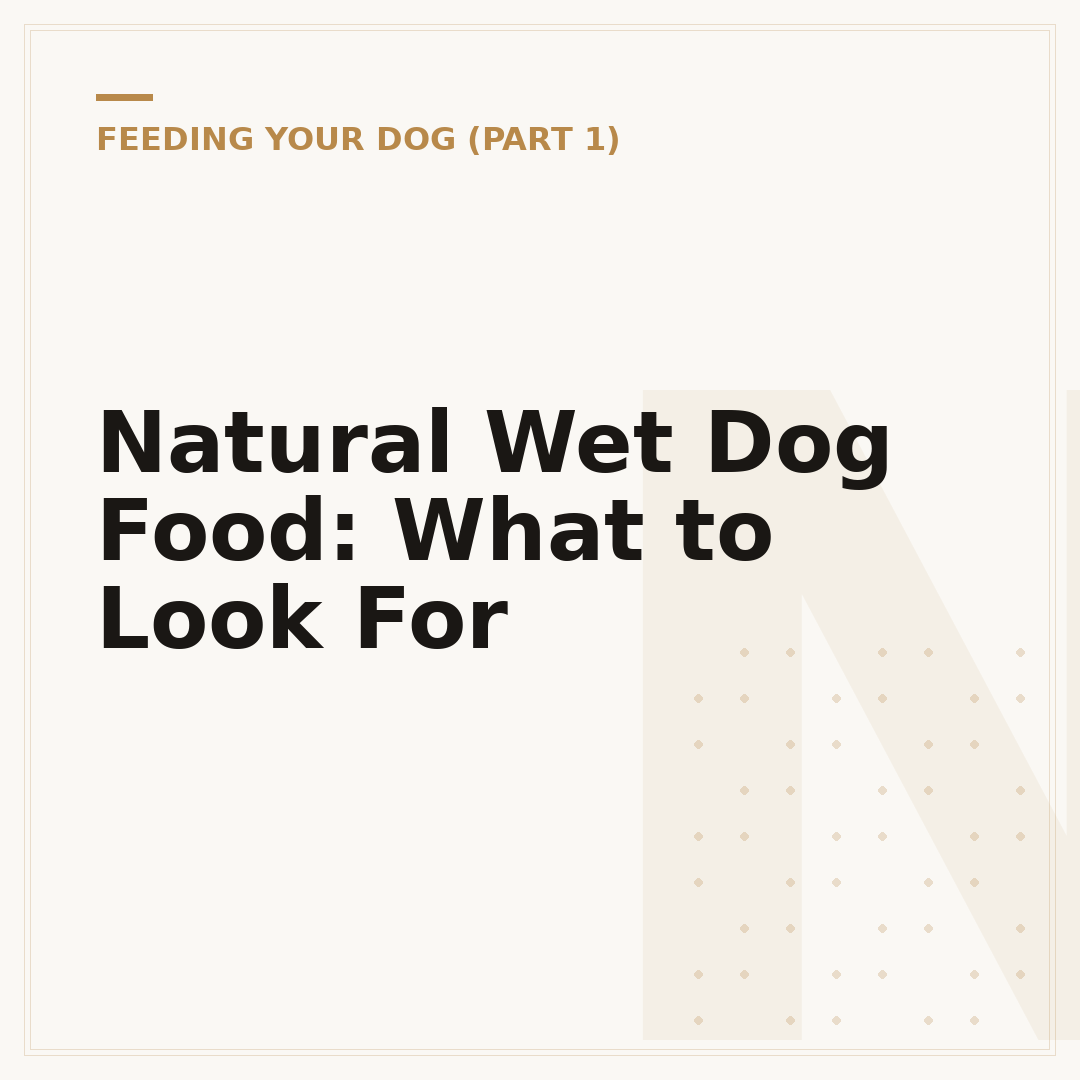 Natural Wet Dog Food: What to Look For
