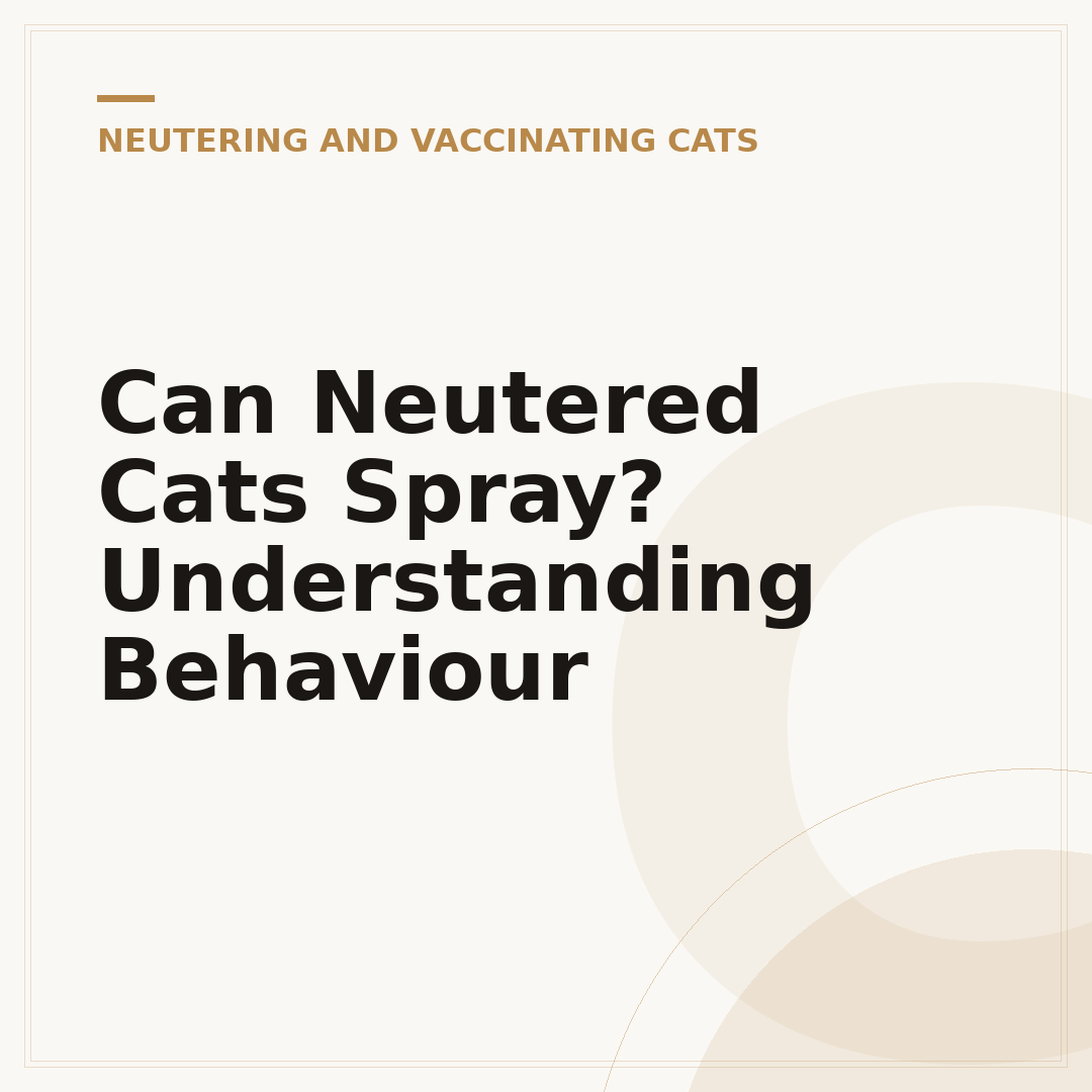 Can Neutered Cats Spray? Understanding Behaviour