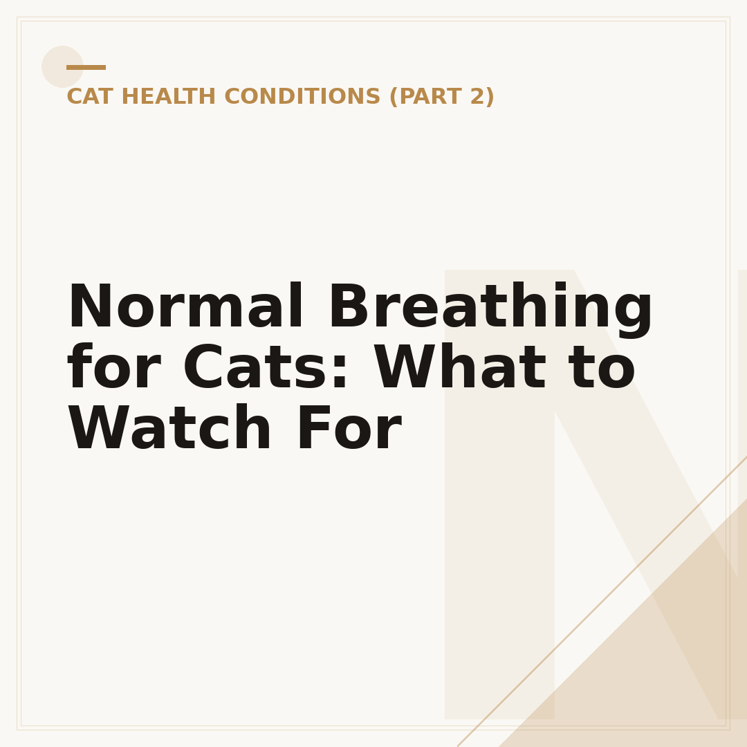 Normal Breathing for Cats: What to Watch For