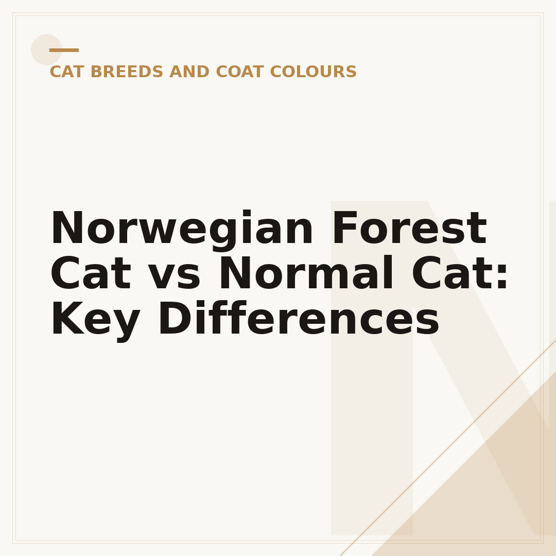 Norwegian Forest Cat vs Normal Cat: Key Differences