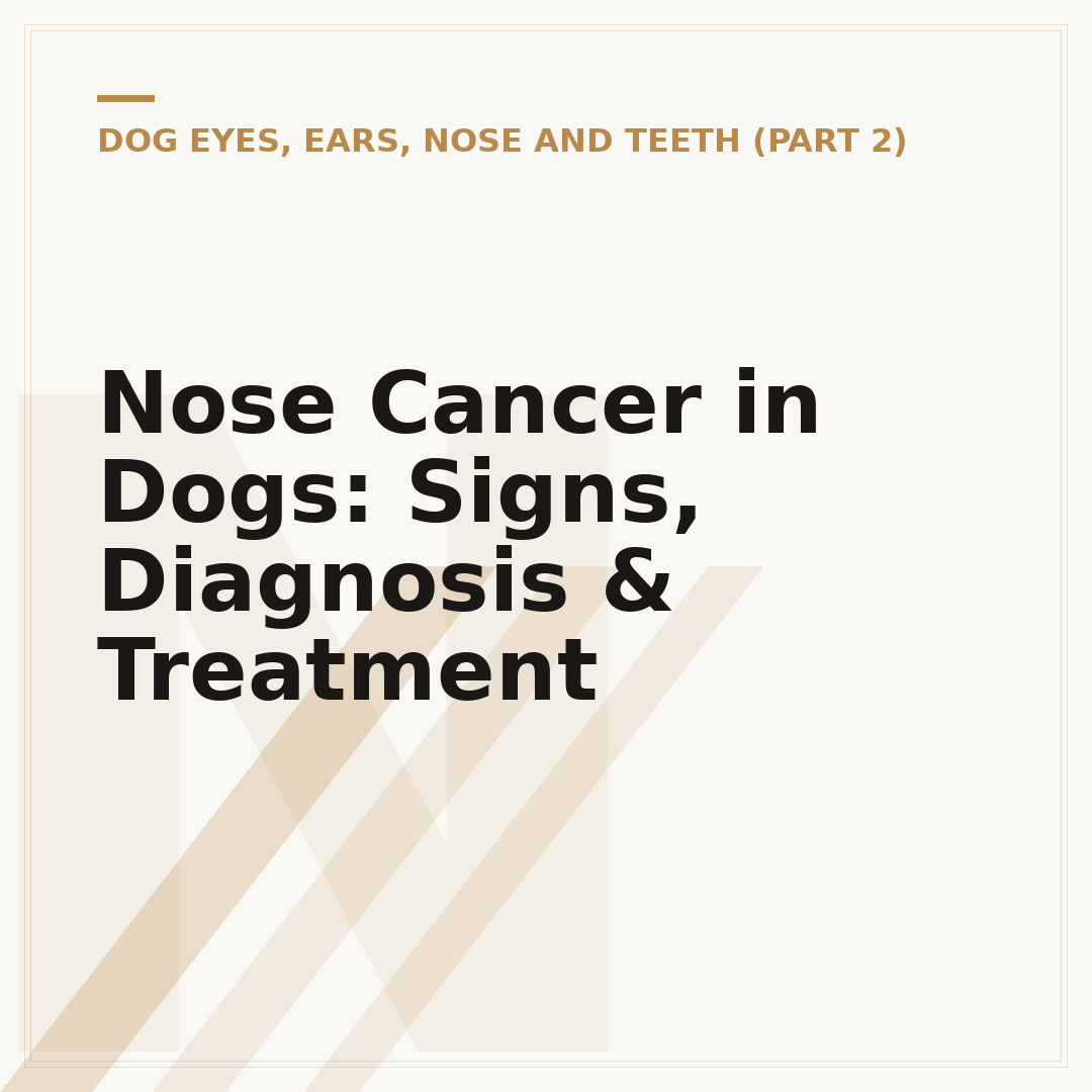 Nose Cancer in Dogs: Signs, Diagnosis & Treatment