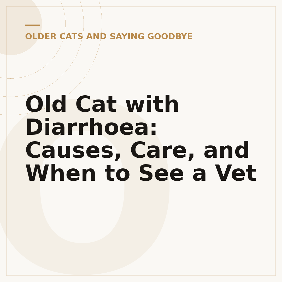 Old Cat with Diarrhoea: Causes, Care, and When to See a Vet