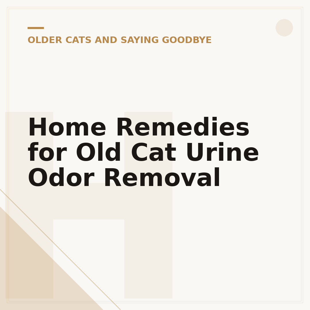 Home Remedies for Old Cat Urine Odor Removal