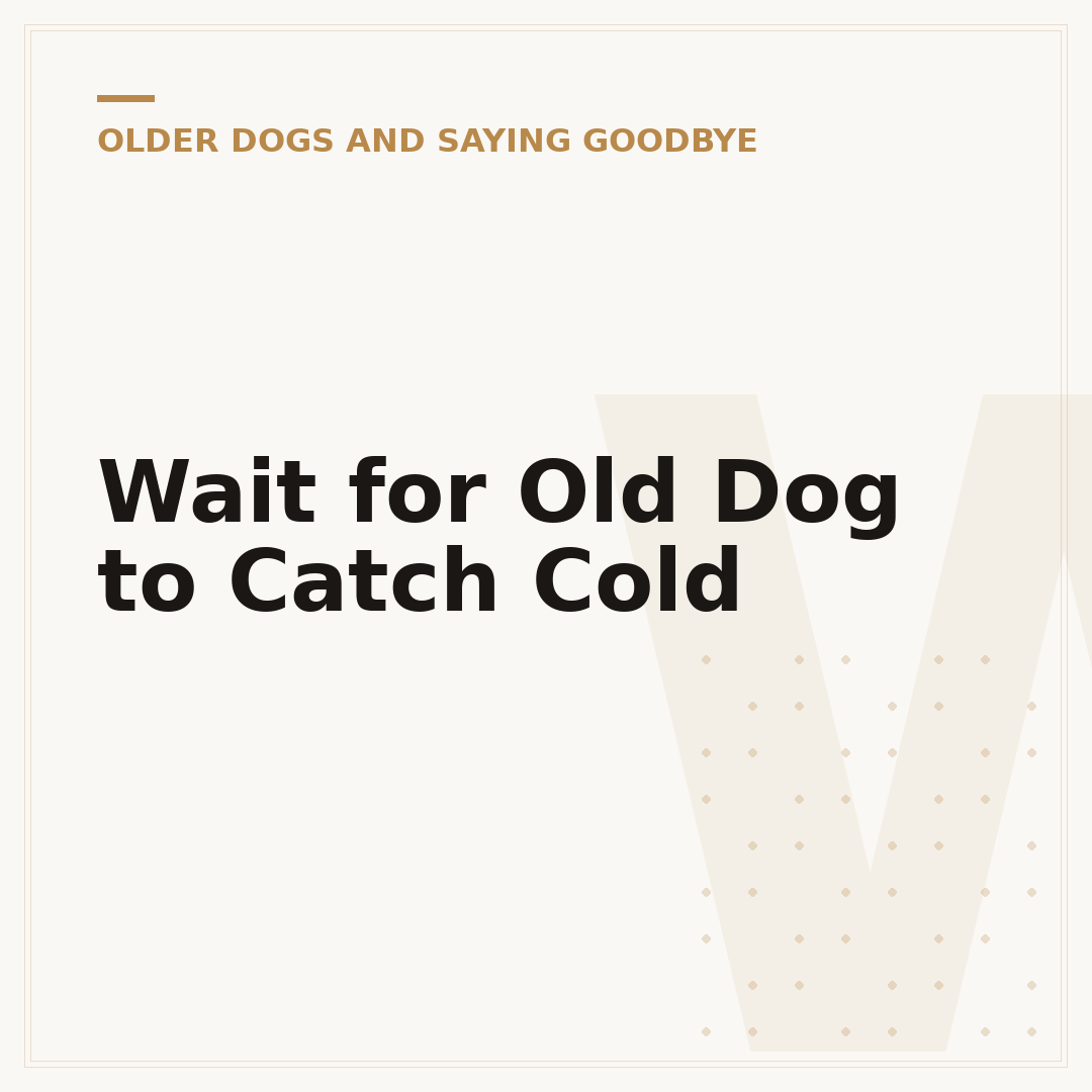 Wait for Old Dog to Catch Cold