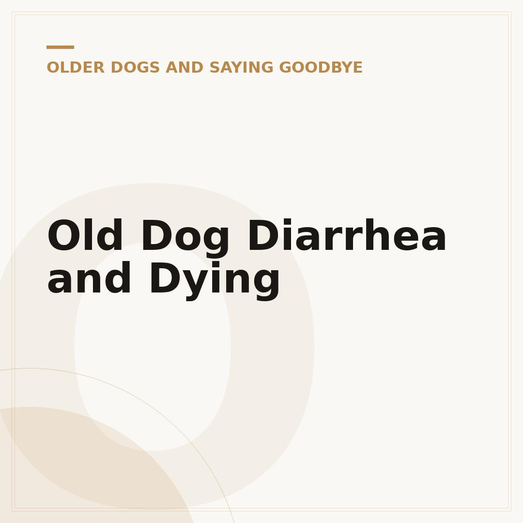 Old Dog Diarrhea and Dying