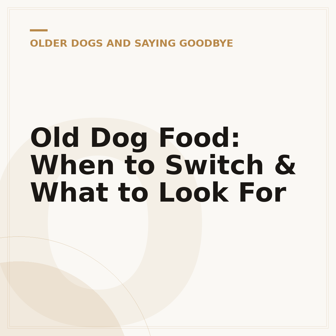 Old Dog Food: When to Switch & What to Look For