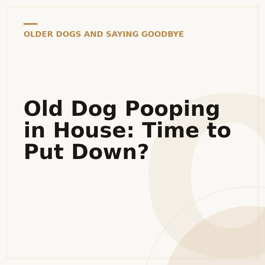Old Dog Pooping in House: Time to Put Down?