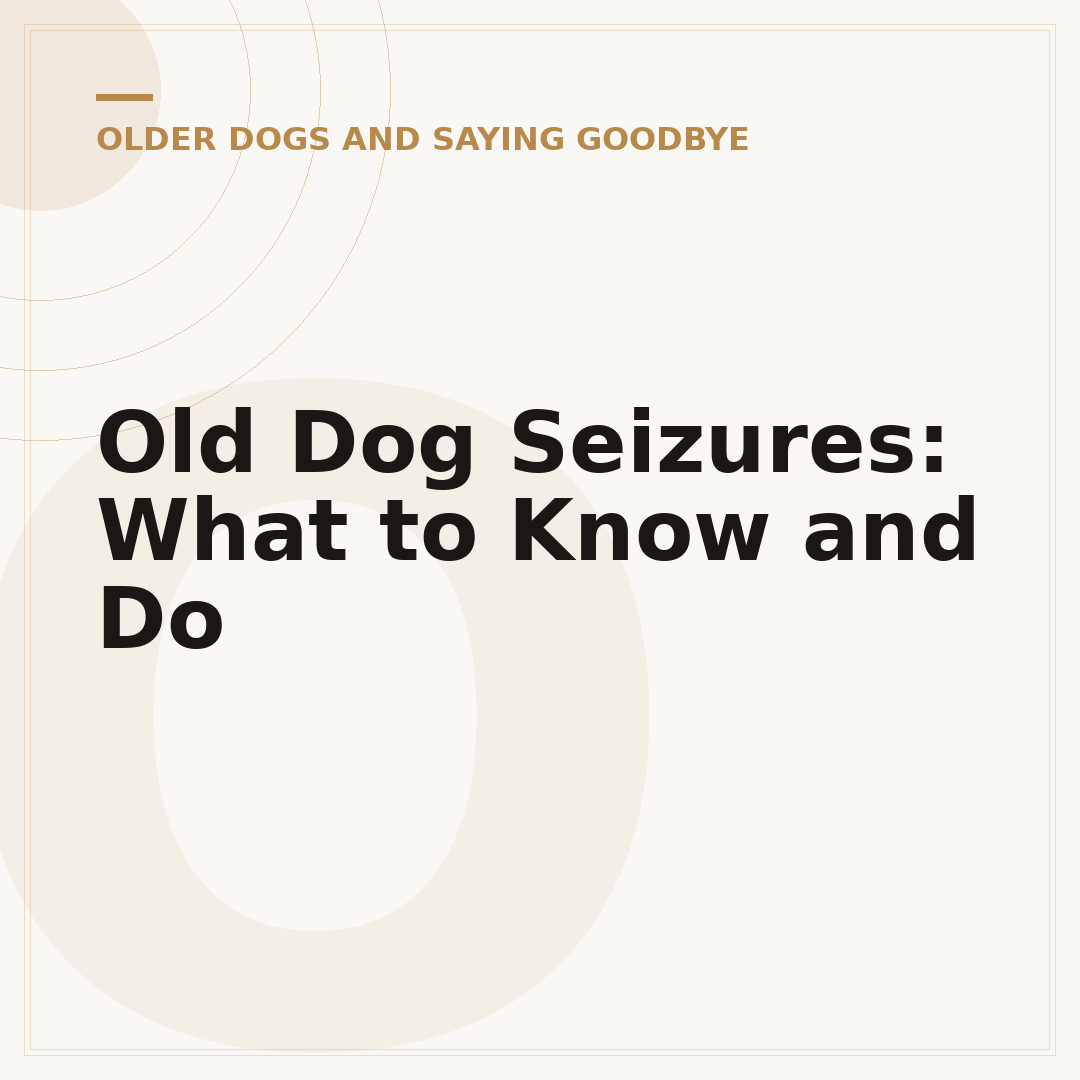 Old Dog Seizures: What to Know and Do