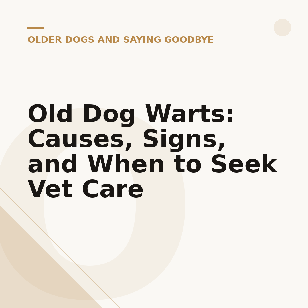 Old Dog Warts: Causes, Signs, and When to Seek Vet Care