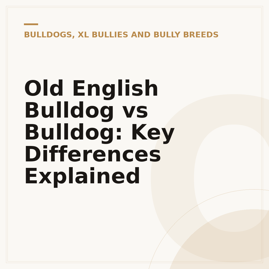 Old English Bulldog vs Bulldog: Key Differences Explained