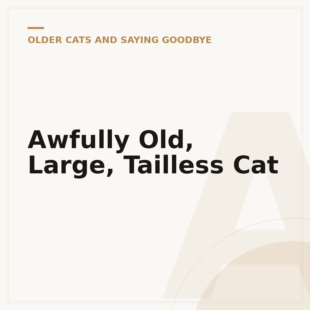 Awfully Old, Large, Tailless Cat