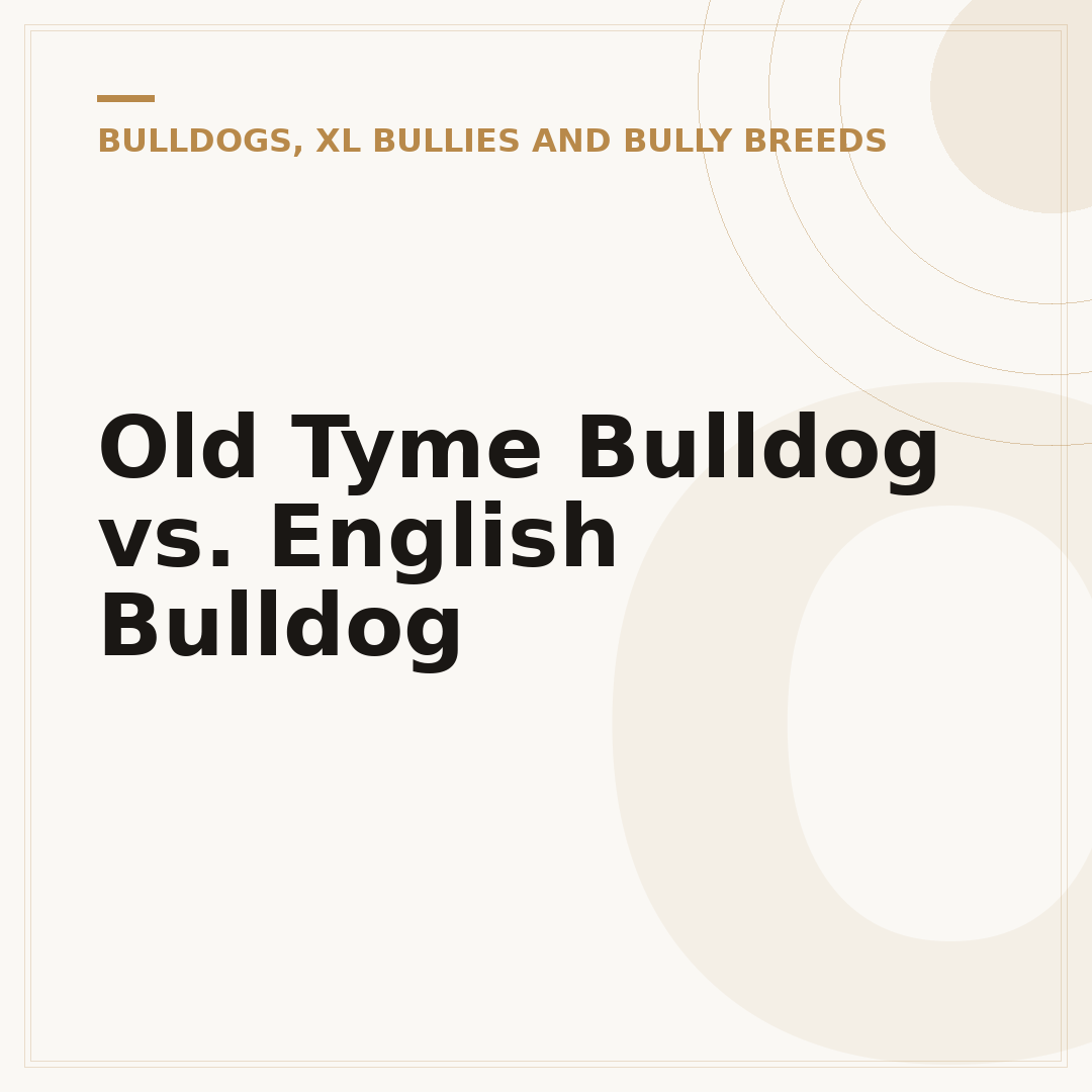 Old Tyme Bulldog vs. English Bulldog