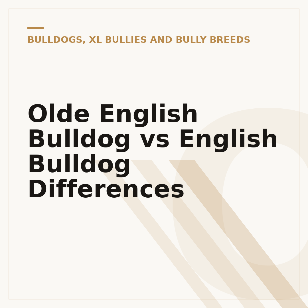 Olde English Bulldog vs English Bulldog Differences