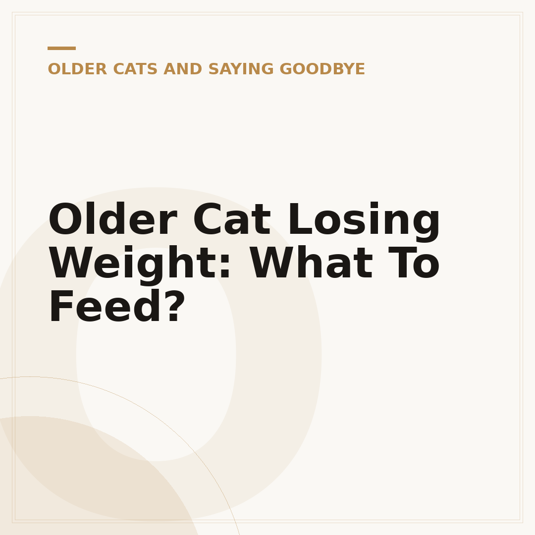 Older Cat Losing Weight: What To Feed?