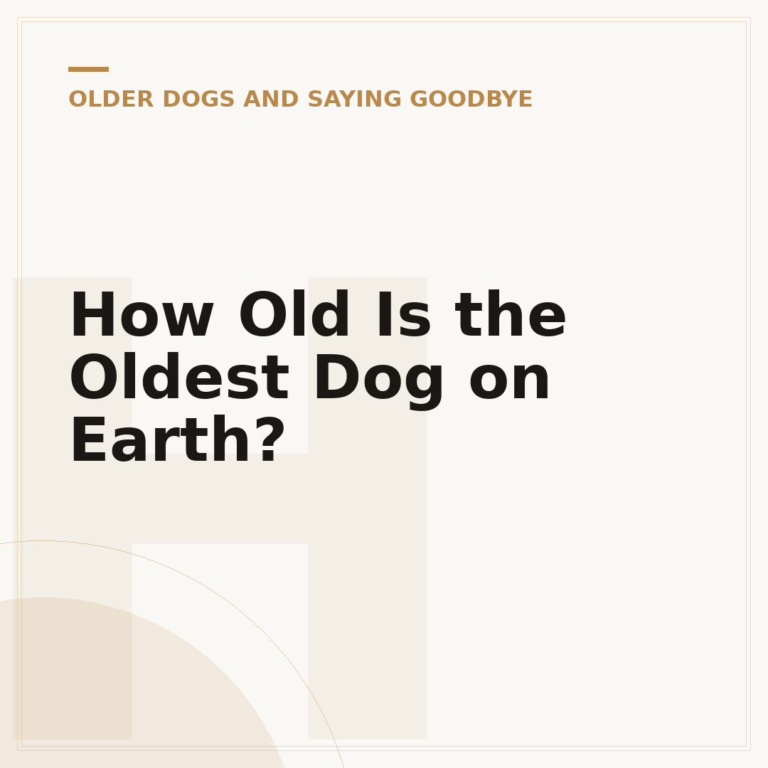 How Old Is the Oldest Dog on Earth?