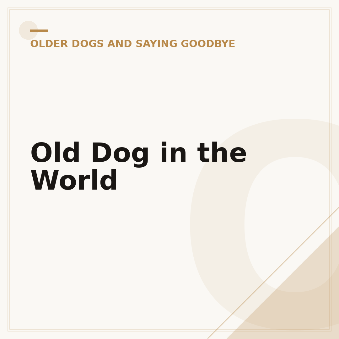 Old Dog in the World
