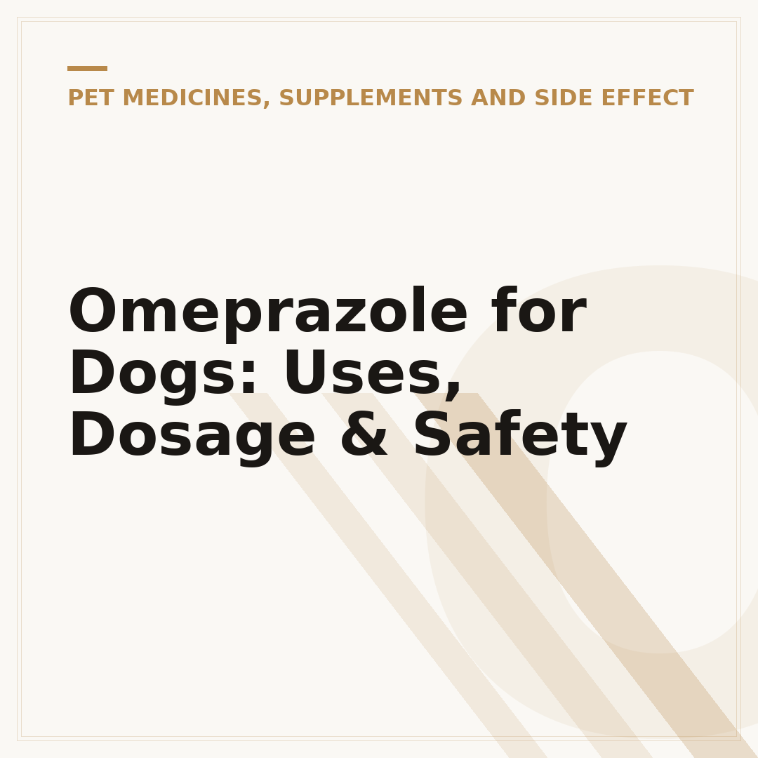 Omeprazole for Dogs: Uses, Dosage & Safety