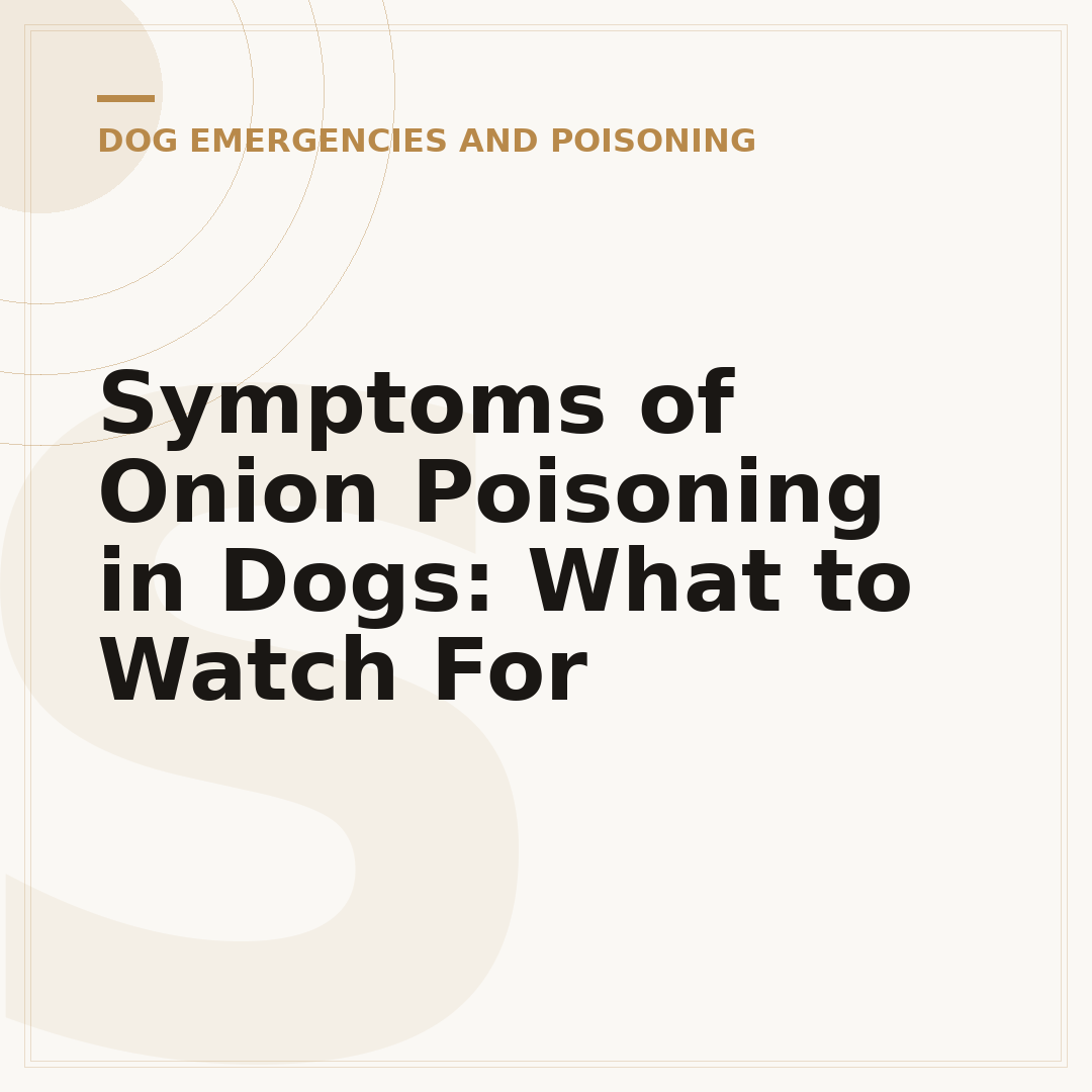 Symptoms of Onion Poisoning in Dogs: What to Watch For
