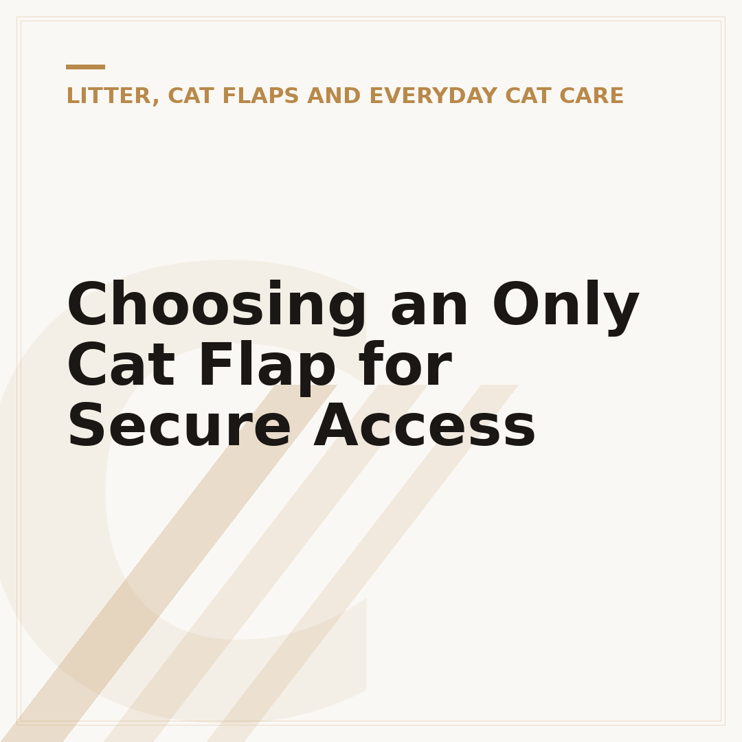 Choosing an Only Cat Flap for Secure Access