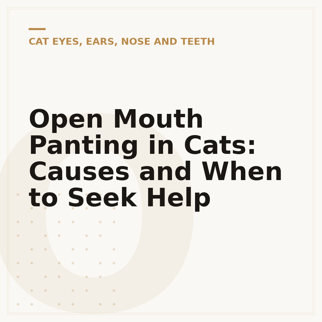 Open Mouth Panting in Cats: Causes and When to Seek Help