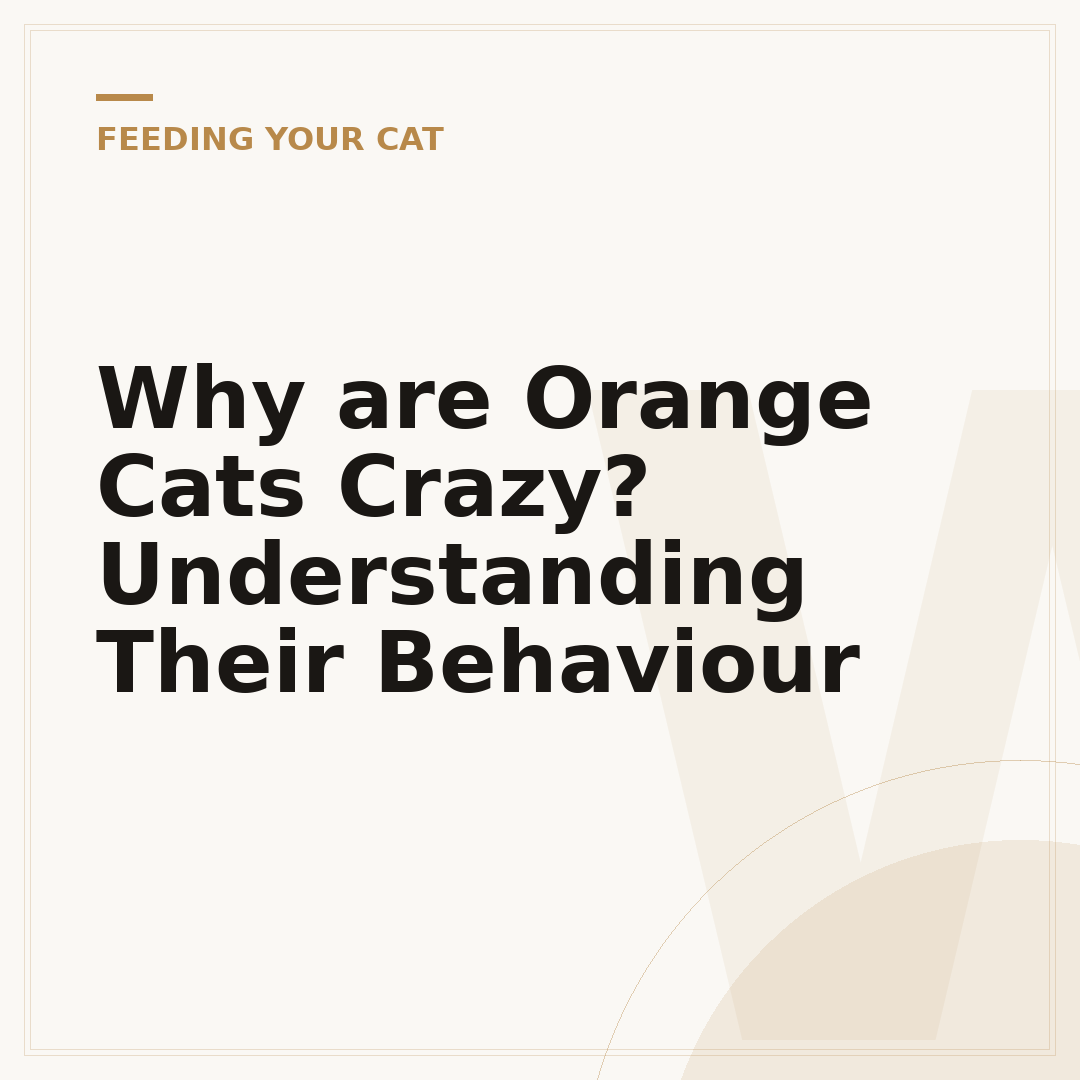 Why are Orange Cats Crazy? Understanding Their Behaviour