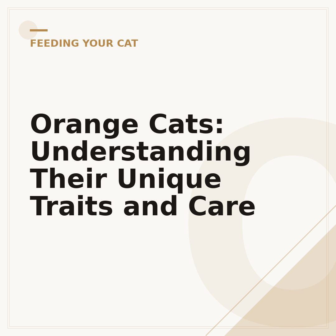 Orange Cats: Understanding Their Unique Traits and Care