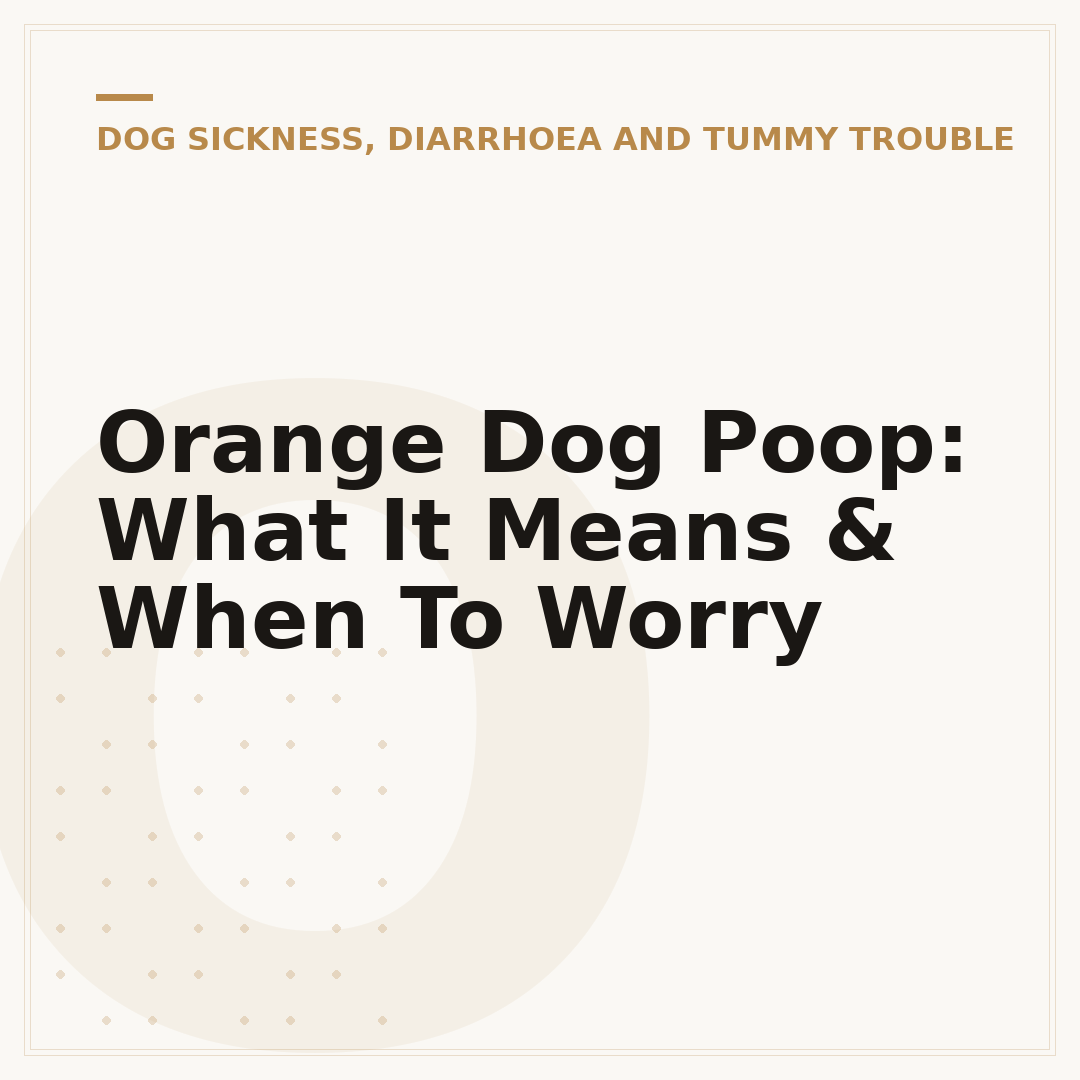 Orange Dog Poop: What It Means & When To Worry