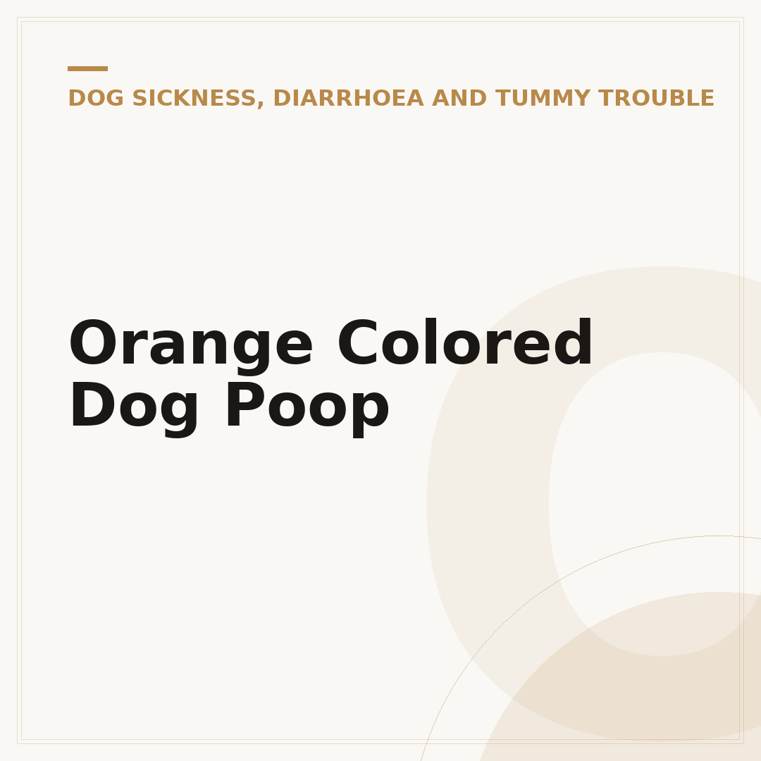 Orange Colored Dog Poop