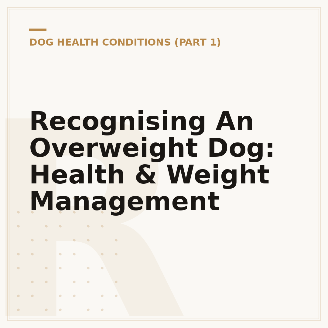Recognising An Overweight Dog: Health & Weight Management